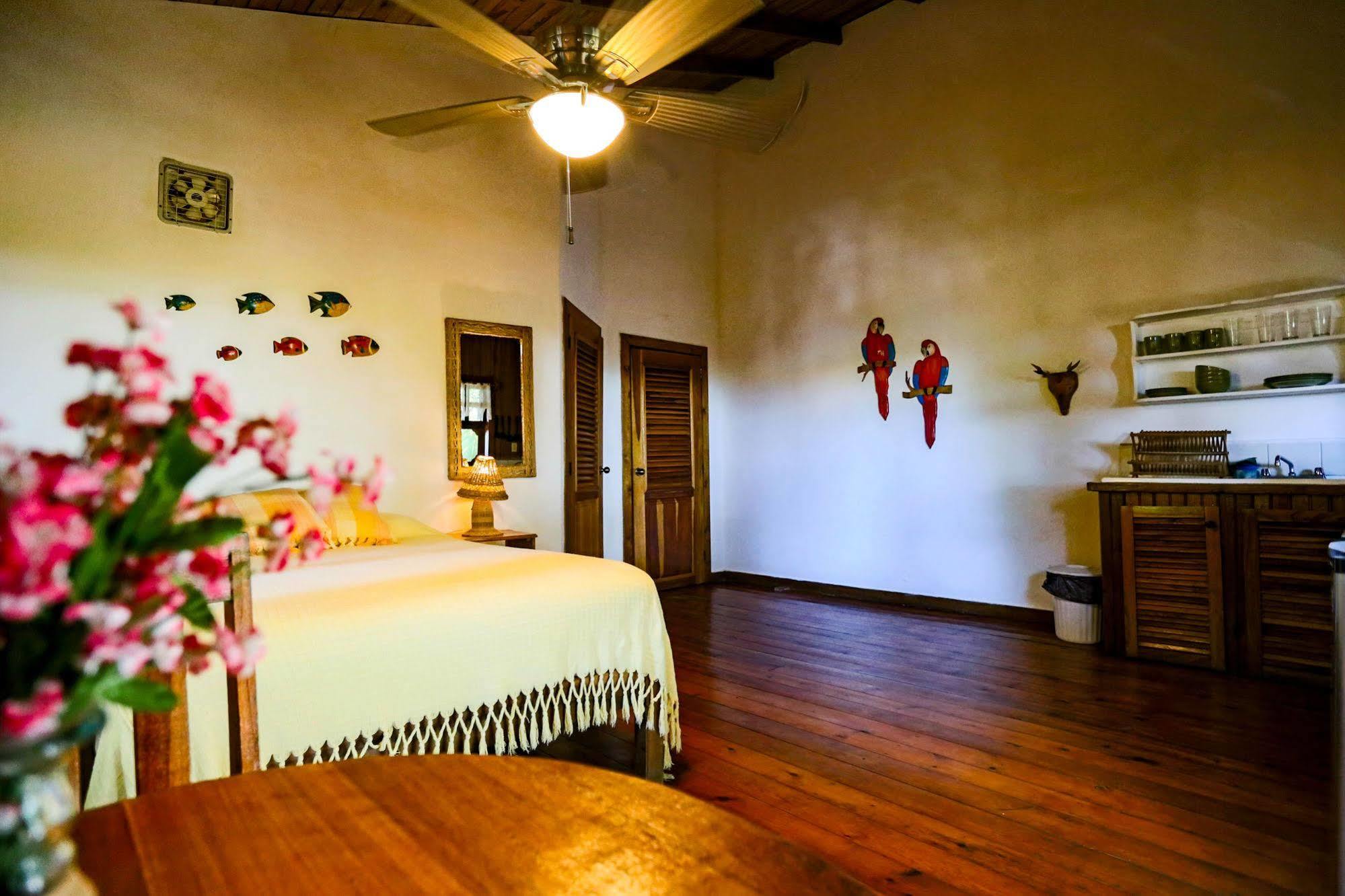 Posada Arco Iris, West End Ngoại thất bức ảnh